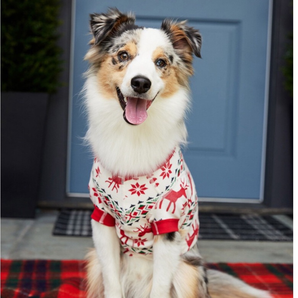 NWT Hanna Andersson Pet Pajamas - Dear Deer